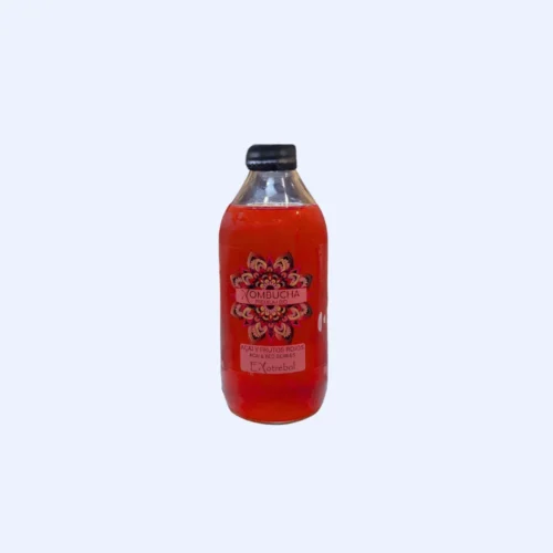 Komvida frutos rojos berryvida kombucha 250 ml