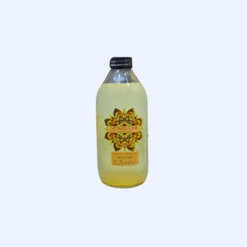 Kombucha Jengibre Y Cúrcuma Bio 250ml Santiveri