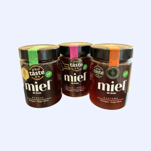 Miel Ecológica de León